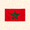 摩洛哥国家队国旗